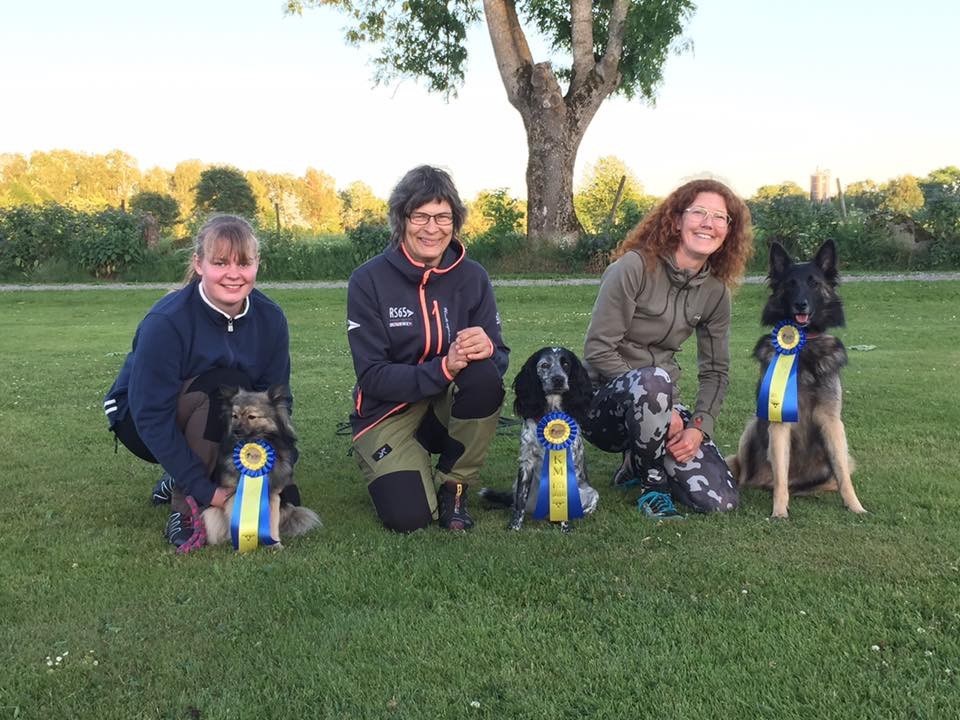 KM_Agility_2016 (1).JPG