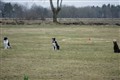 DSC00277.JPG