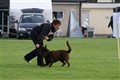 DSC04578.JPG