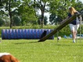 Dagens bilder 033.jpg