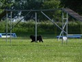 Dagens bilder 034.jpg