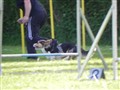 Dagens bilder 039.jpg