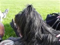 Dagens bilder 040.jpg