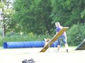 Dagens bilder 041.jpg