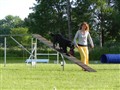 Dagens bilder 048.jpg