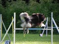 Dagens bilder 056.jpg