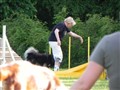 Dagens bilder 059.jpg