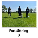 Fortsätt B 2024