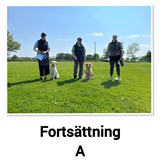 Fortsätt A 2024