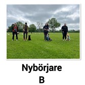 Nybörjare b 2024
