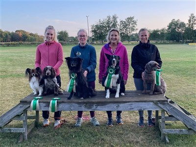 KM2026 agility